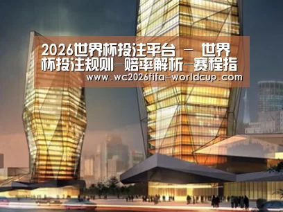 案例展示三