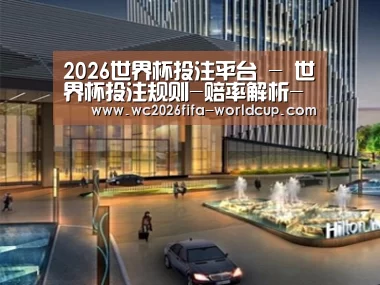案例展示二