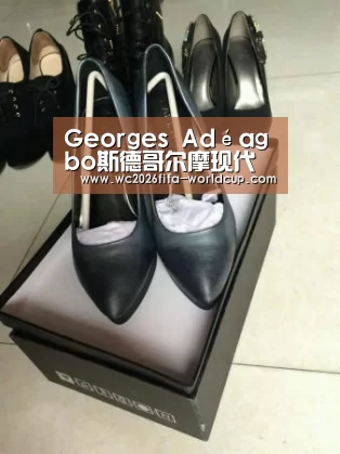 <h1>Georges Adéagbo斯德哥尔摩现代艺术博物馆个展【世界杯下注】(图3) 世界杯下注