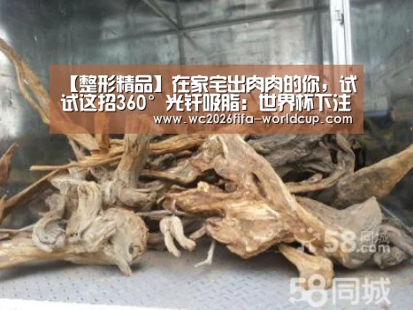 【整形精品】在家宅出肉肉的你,试试这招360°光纤吸脂:世界杯下注平台(图1) 世界杯下注